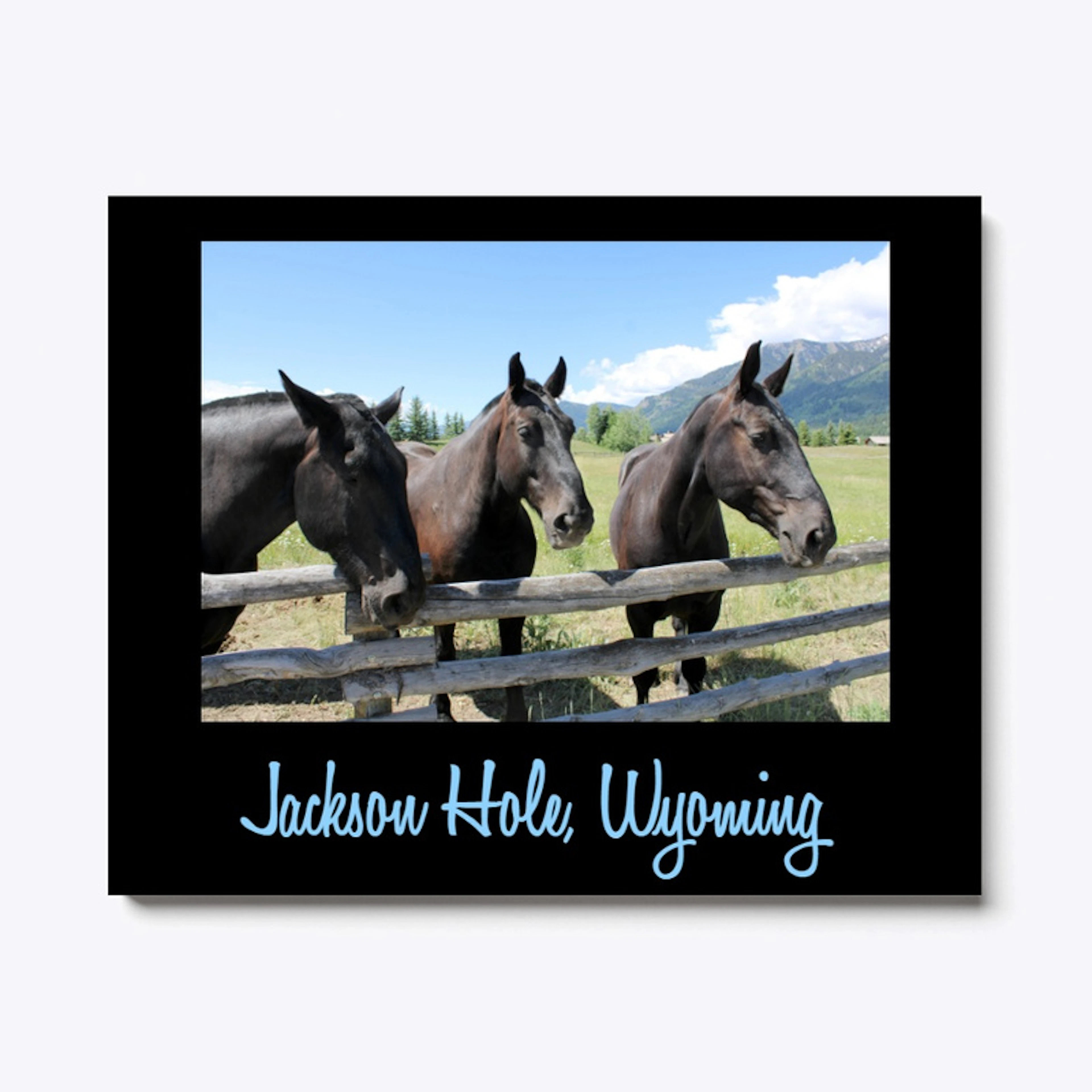 Horses Jackson Hole, Wyoming 