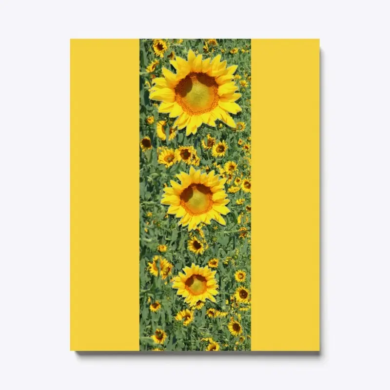 North Dakota Sunflowers