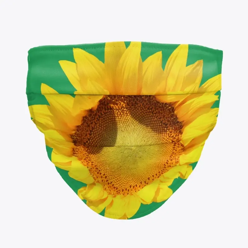 North Dakota Sunflowers